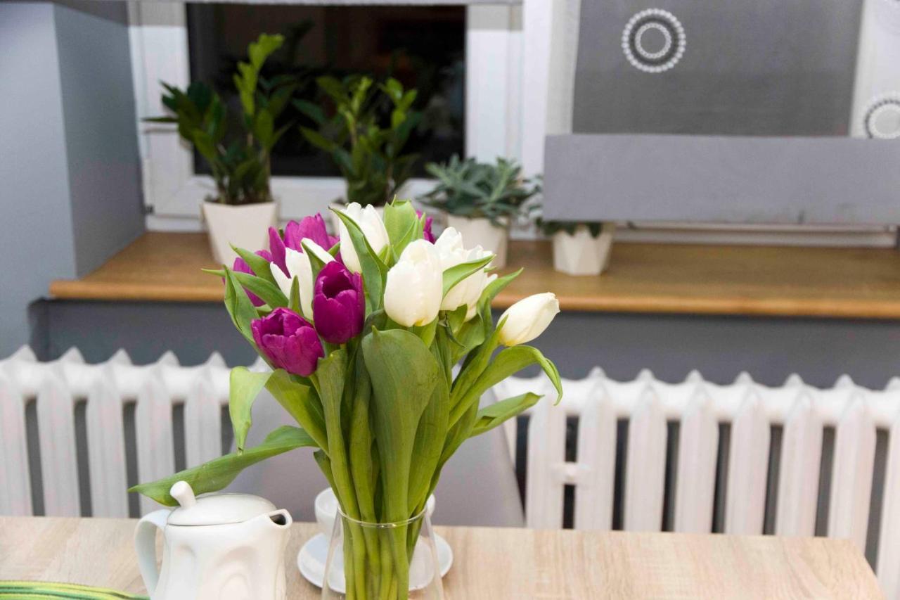 Apartament Grapa เชอวีซ ภายนอก รูปภาพ